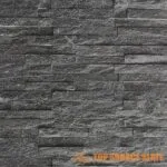 TSS-008