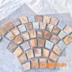 TSF-011