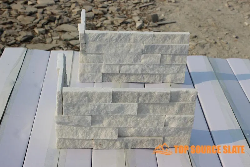 Esquina Ledger White Arctic 1