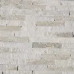 TSS-098