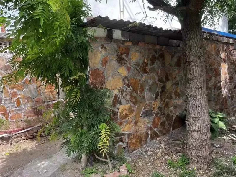 Variété de pierres naturelles en vrac idéales pour l'aménagement paysager et la décoration